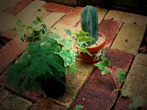 resize2455