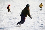 221e8779.jpg