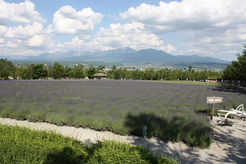 ファーム富田