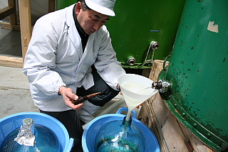 杜氏
