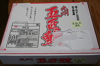 ���Ŀ建