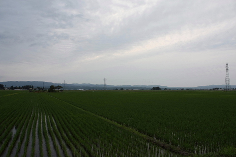 空