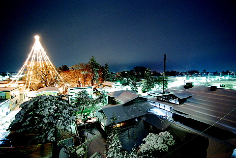 クリスマスツリー