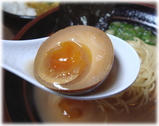 �ڹ��������硡̣�դ��̻�