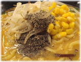 �顼�����ꡡ̣���顼���ζ�