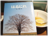 �ͽ�Ϥ�ˤ졡