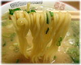 �դ������顼�����¿Ź���顼������
