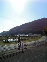 5214e7a8.jpg