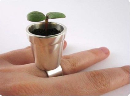flowerpot-ring ����ȭ���Ĥ�������