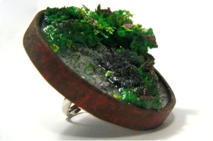 forest ring��
