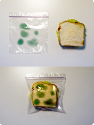 Anti-Theft Lunch Bag �����Хå�����⤦�Ȥ����������򻦤����ϥ��������ƥ��������Хå�