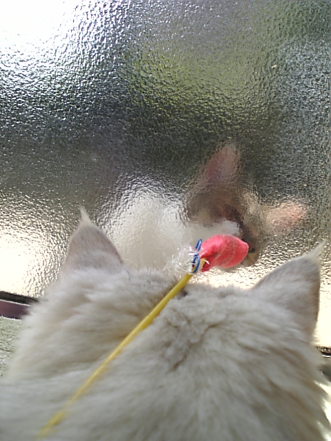日当ぼっこ３