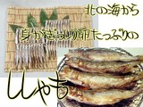 8702c288.jpg