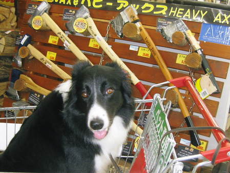 これは何ですか?