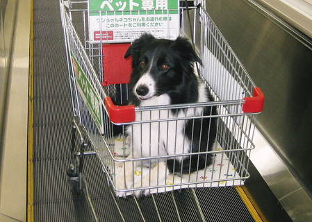 安心もつかの間…