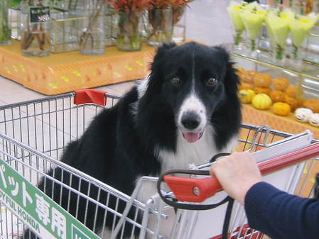 緊張の顔(笑)
