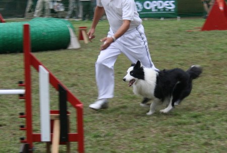 b0f95f74.JPG
