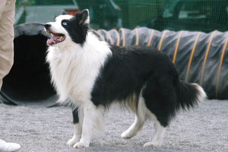 b67ba69c.JPG