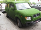 25fd3a4b.JPG