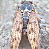 8b5f9517.jpg