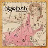 BIGGABUSH / BIGGABUSH FREE