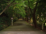 白山ひめ神社2