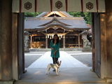 白山ひめ神社4