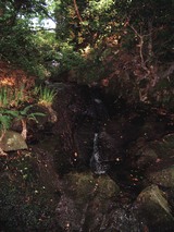 白山ひめ神社3