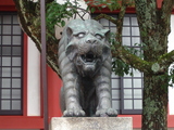 虎2