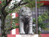 虎1