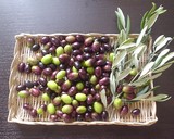 olive1