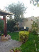 03d57411.JPG