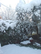 23c05213.jpg