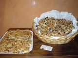 82e40538.jpg