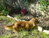 al giardino1