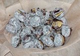 castagne