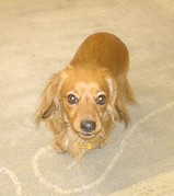 angie com3