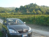 e38134f2.JPG