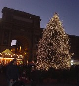 albero