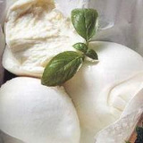 bufala