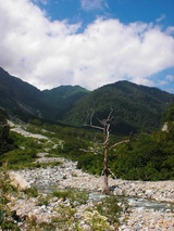 小池