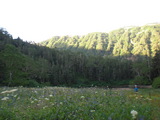 岩苔小谷お花畑2