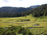 高天原