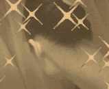 e38fc546.jpg