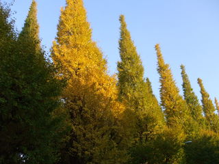 DSCF1081