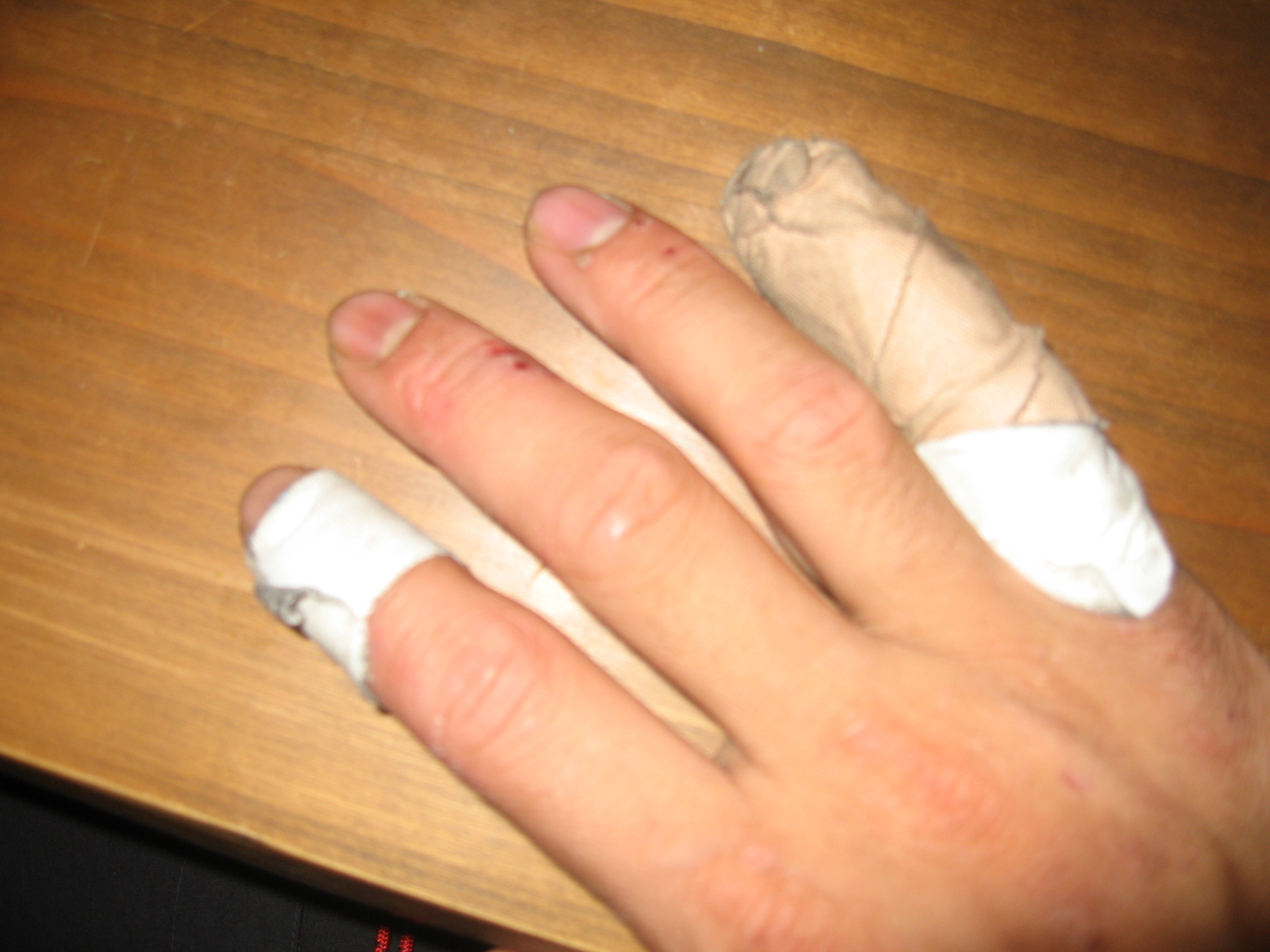 IMG_1288