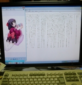 Z�饤�ȡ�20���