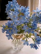 bule-flower
