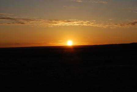 c8764041.jpg