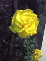 bc1e15f8.jpg